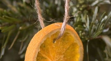 Gedroogde sinaasappel