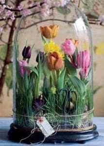 Tulpen in glazen stolp