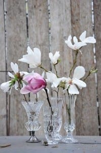 Woontrendz-magnolia-op-vaas