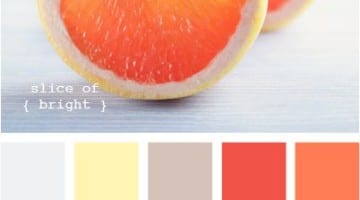 Kleurinspiratie slice of bright