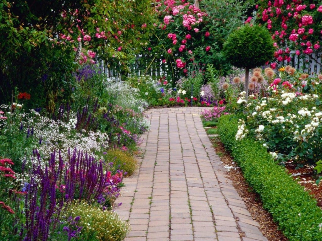 Drie goede voornemens voor jouw tuin