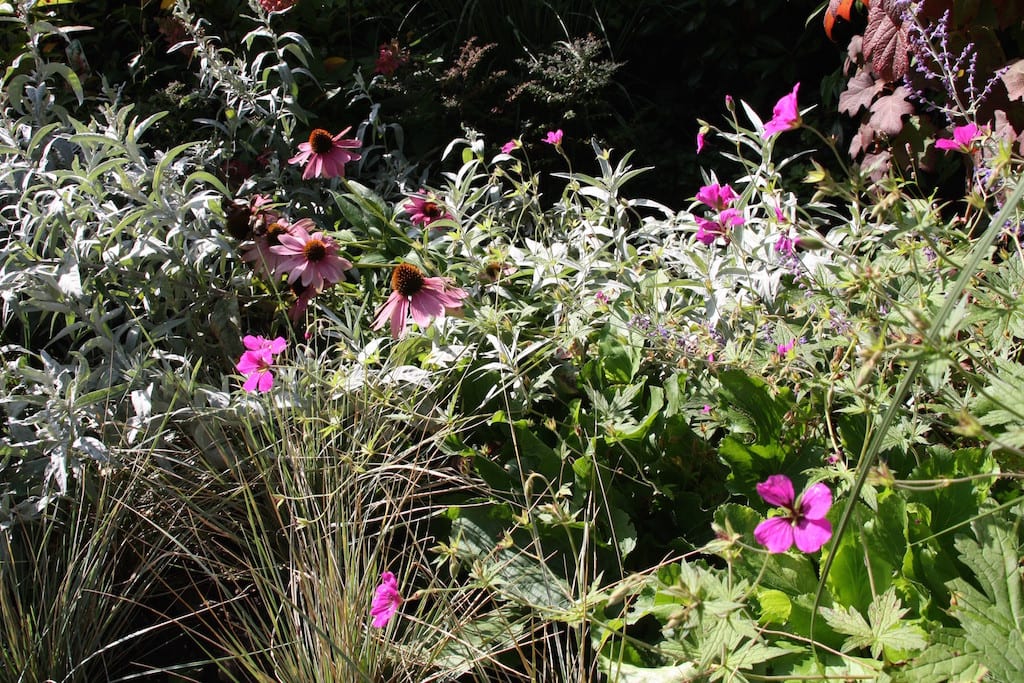 Kleurrijke tuin
