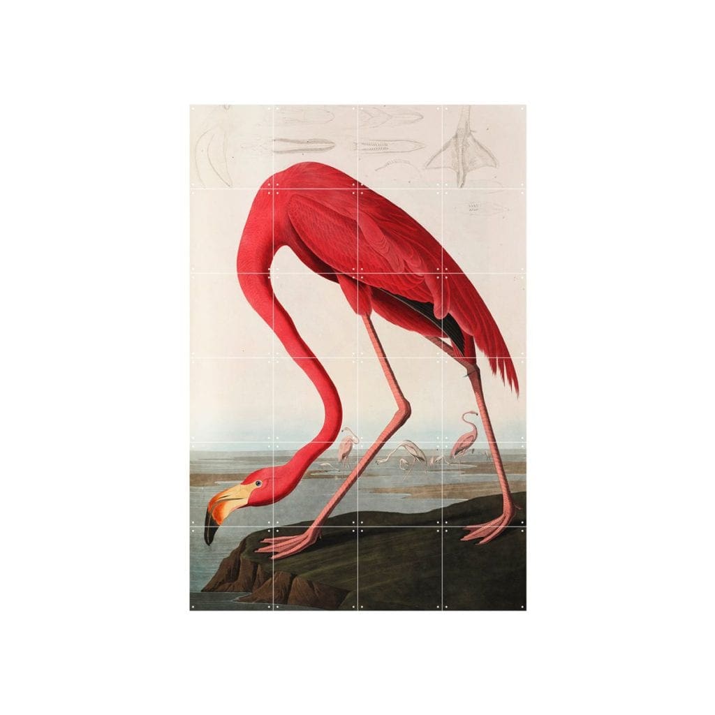 Flamingo IXXI