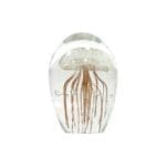 Jellyfish in glas van hkliving