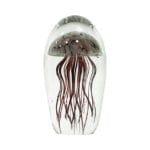 Jellyfish in glas van hkliving