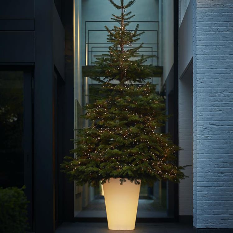 Led light bloempot kerstboom