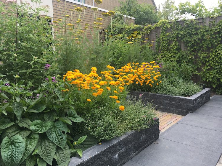 Plantvakken vullen, hoe doe je dat?