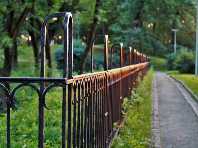 4x mooie tuinafscheiding ideeën voor een stijlvolle en praktische tuin