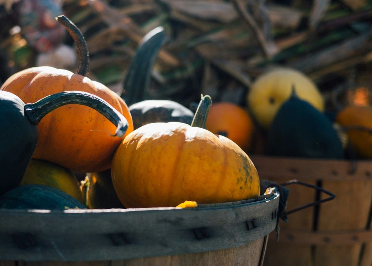 Maak je woning helemaal klaar voor de herfst