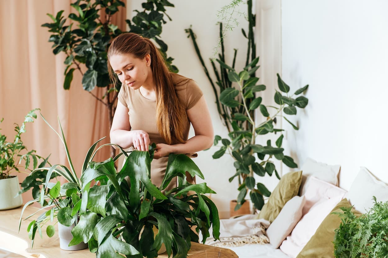 Groene planten: hoe richt jij je interieur ermee in?